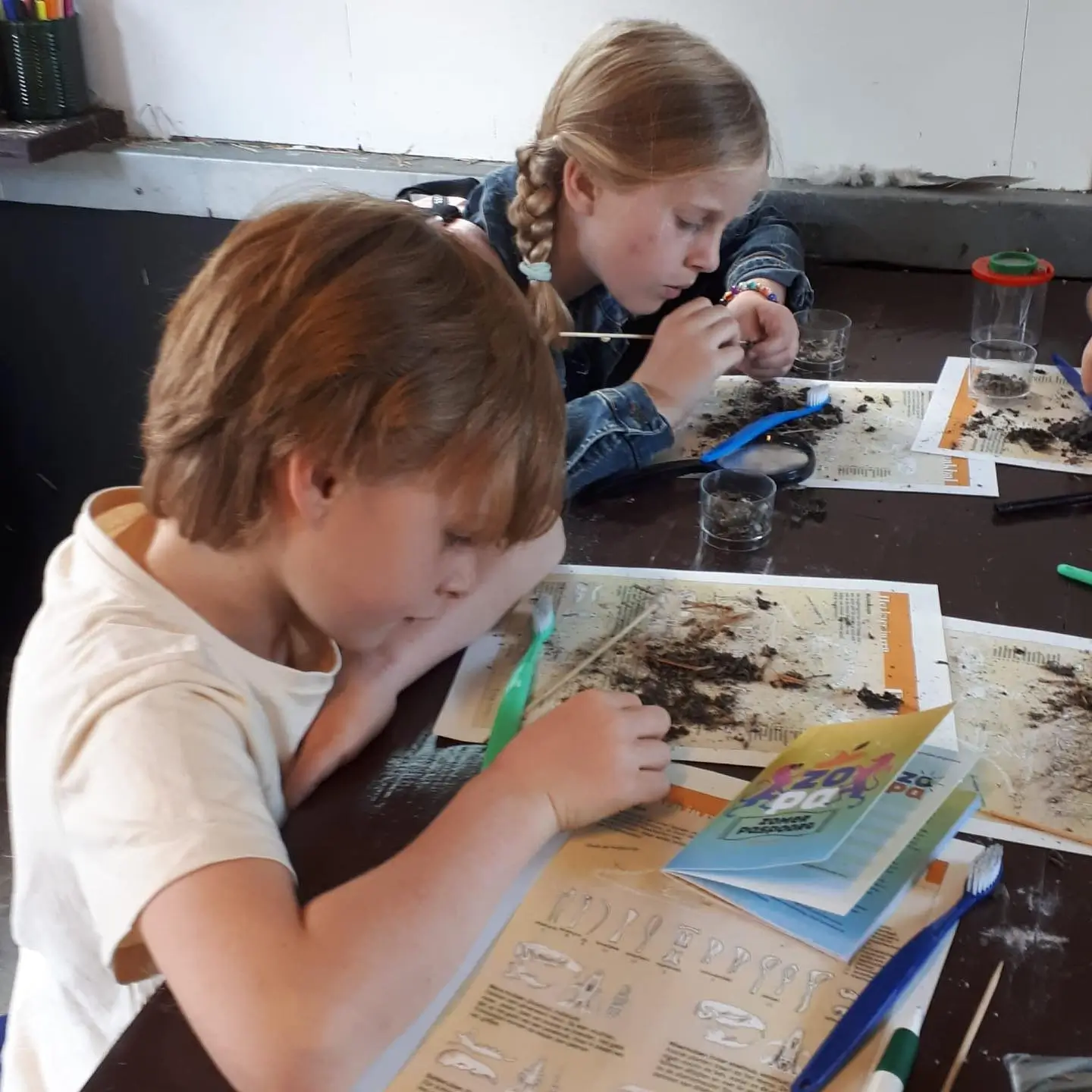 kinderfeestje uilen braakballen uitpluizen