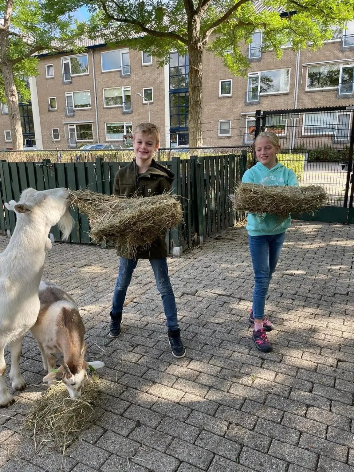 schoolbezoek geiten eten geven