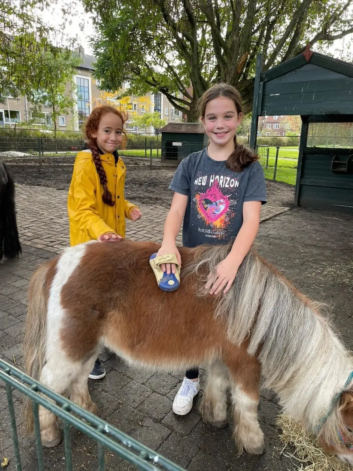 schoolbezoek pony borstelen
